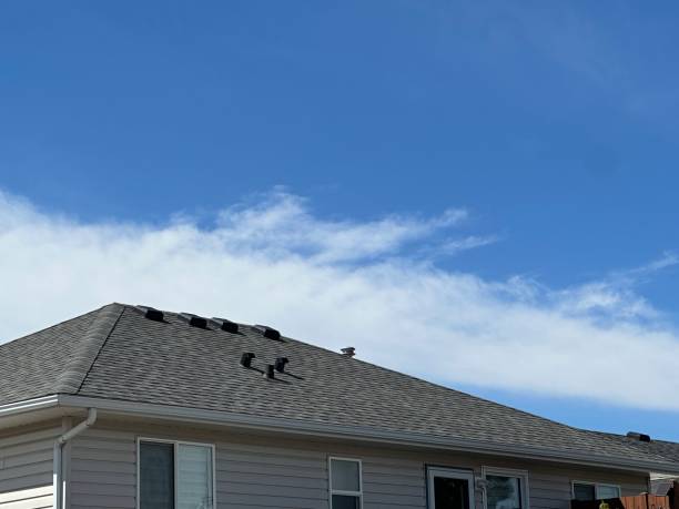 Best Cold Roofs  in Buckeystown, MD